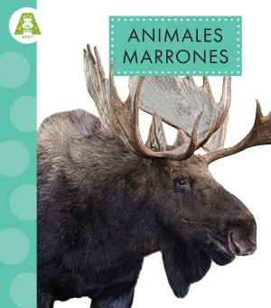 Animales marrones