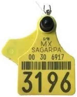 Cattle Tag Keychains | Authentico Cow Tag Llaveros, Arete de Res, Yellow