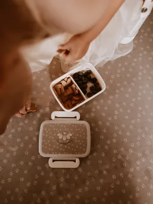 New Lunch Box - Little Daisys